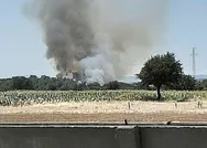 Son dakika: Çanakkalede orman yangını