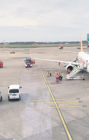 Havalimanına giren tavşan ortalığı karıştırdı! Çok sayıda sefer yapılamadı