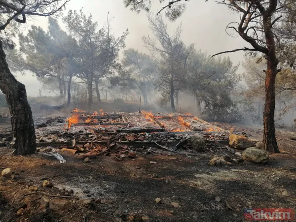 SON DAKİKA: Mersin Silifke'deki orman yangınında mezarlık zarar görürken şehidin kabri ve Türk bayrağı yanmadı - 13