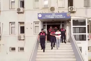 Yasa dışı bahiste 1 milyar 234 milyon TL’lik trafik! 4 ilde operasyon 12 tutuklama