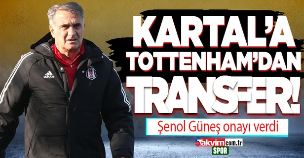 Beşiktaş'a Tottenham'dan transfer!