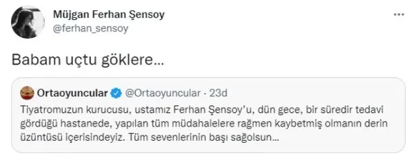 ferhan-sensoy-kimdir-kac-yasindaydi-olum-sebebi-nedir-ferhan-sensoy-hayatini-kaybetti-1630391853186.jpg
