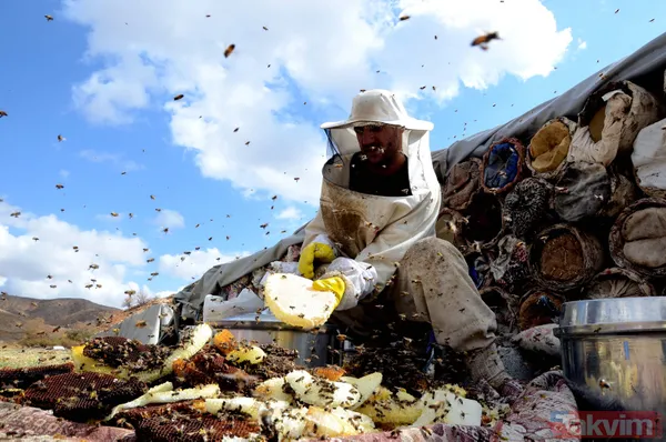 Kilosu 350 TL! 3 bin rakımda üretilen karakovan balından bu yıl 250 ton bekleniyor - 18