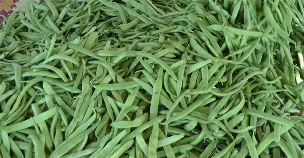 Taze fasulye yüzde 56 zam aldı