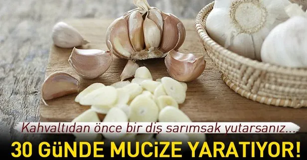 Karacigeri Yenileyen Besinler Nelerdir Karaciger Hastaliklarina Iyi Gelen Yiyecekler Nelerdir Karaciger Yaglanmasina Iyi Gelen Yiyecekler Nelerdir Takvim