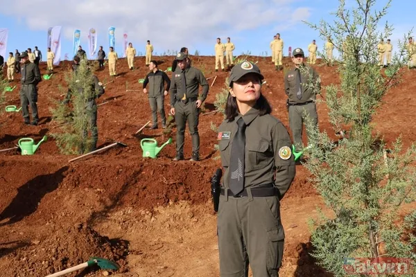 Burdur Genelinde Toplam 13 Bin Fidan Toprakla Buluşturuldu. Burdur Valiliği Koordinasyonunda Ve Orman İşletme Müdürlüğü Öncülüğünde Yapılan Etkinliğe Burdur...