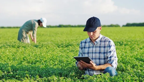 hukumetten-ciftcileri-sevindiren-yenilik-hasat-sigortasi-basladi-primler-artti-1642120315450.jpeg Hükümetten çiftçileri sevindiren yenilik! Hasat sigortası başladı-7