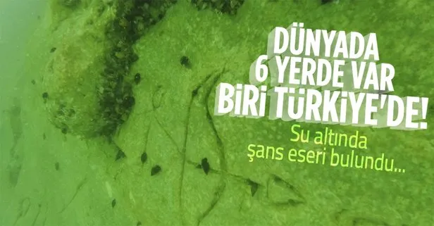 Dünyada sadece 6 yerde var biri Türkiye’de! Su altında şans eseri bulundu! Paleolitik Dönem’e ait...