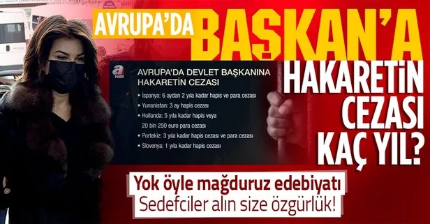 Son dakika: Sedef Kabaş hapis cezası alacak mı? Avrupa’da devlet başkanlarına hakaretin cezası ne?