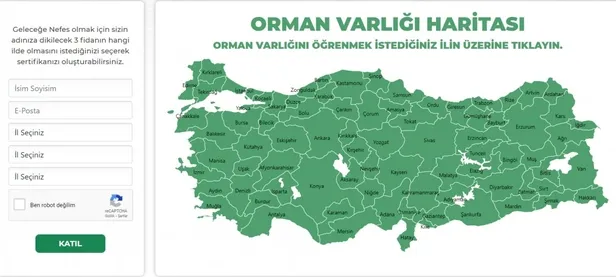 11-kasim-milli-agaclandirma-gunu-gelecege-nefes-ucretsiz-fidan-bagisi-nasil-yapilir-gelecegenefescom-fidan-bagis-sertifikasi-alma-ekrani-1636612744802.jpg 11 Kasım Milli Ağaçlandırma Günü: Geleceğe Nefes Ol ücretsiz fidan bağışı nasıl yapılır? Geleceğenefes.com fidan bağış sertifikası alma ekranı!-4
