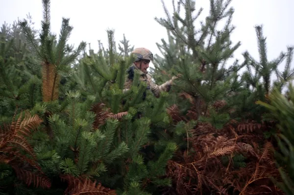 9-gundur-kayip-kadin-icin-30-kisilik-ozel-ekip-kuruldu-1672046660103.jpg 9 gündür kayıp kadın için 30 kişilik özel ekip kuruldu-3