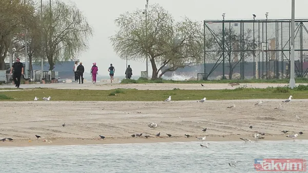 Mali çöl tozu etkisi başladı: Maskesiz dışarı çıkmayın! Astım ve alerjisi olanlar nelere dikkat etmeli? Yağmurla birlikte... - 2