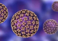 Koronavirüsün ardından yeni bir ölümcül virüs daha ortaya çıktı! Bunyavirüs nedir? Bunyavirüsün belirtileri nelerdir?