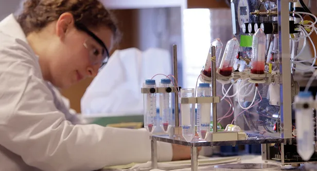 bilim-dunyasinin-yillardir-cozum-aradigi-soruna-turk-bilim-insanlari-cozum-uretti-abdden-destek-geldi-1592822696590.jpg Bilim dünyasının yıllardır çözüm aradığı soruna Türk bilim insanları çözüm üretti! ABD'den destek geldi!-5