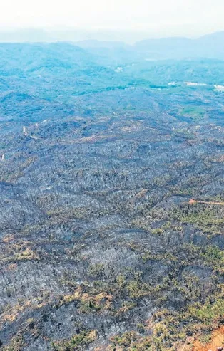 Başkan Erdoğan Marmaris'te incelemelerde bulunarak korkunç yangının büyük oranda kontrol altına alındığını duyurdu