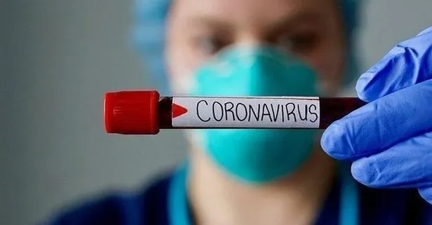 Son dakika: Koronavirüsü tamamen yok eden antikor keşfedildi!
