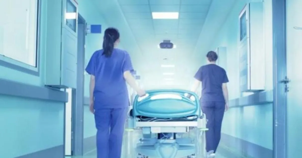 En Az Ilkokul Mezunu Iskur Hastanelere Isci Alimi Yapiyor Iste Kadrolar Takvim