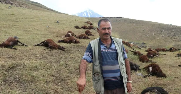 Iğdır'da 74 koyun yıldırımda telef oldu!