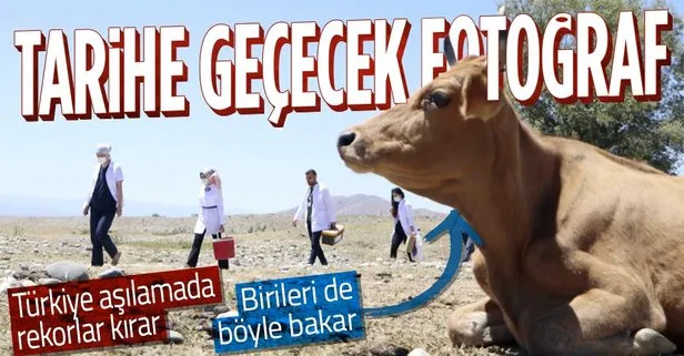 SON DAKİKA: Türkiye her gün milyonları aşılıyor! Sağlık çalışanları Erzurum’da çobanların ayağına gitti