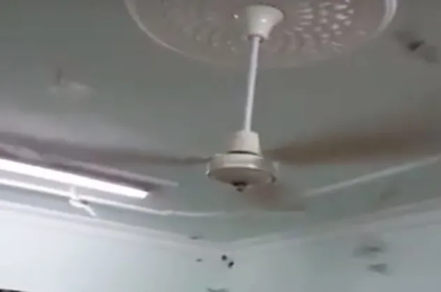 Hayrete düştüler... Ağrı'da evleri yarasalar bastı