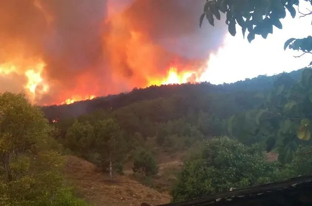 Kastamonu'da orman yangını