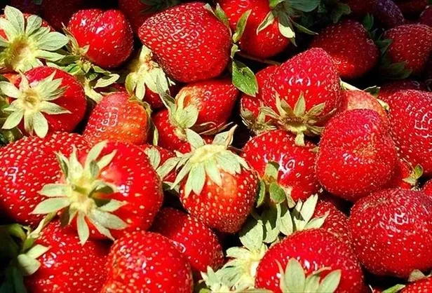 Havalar ısındı mahsul bollaştı meyve-sebze fiyatları düştü: "Tarla ile raf arasında üç kat fark var"-3