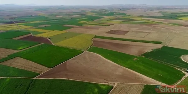 Milli Emlak duyurdu: 100.000 TL'den imarlı arsa! - 5