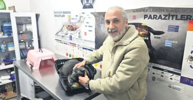 Zonguldak’ta dişi kırılan kedisine altın sürprizi!