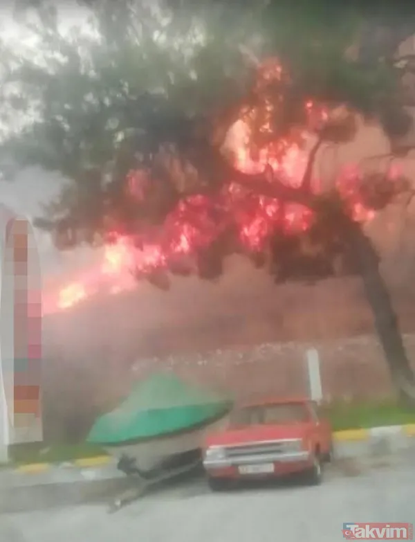 Marmaris'teki yangını '2 çocuk çıkardı' şüphesi: İfadeleri pedagog eşliğinde alınacak - 17