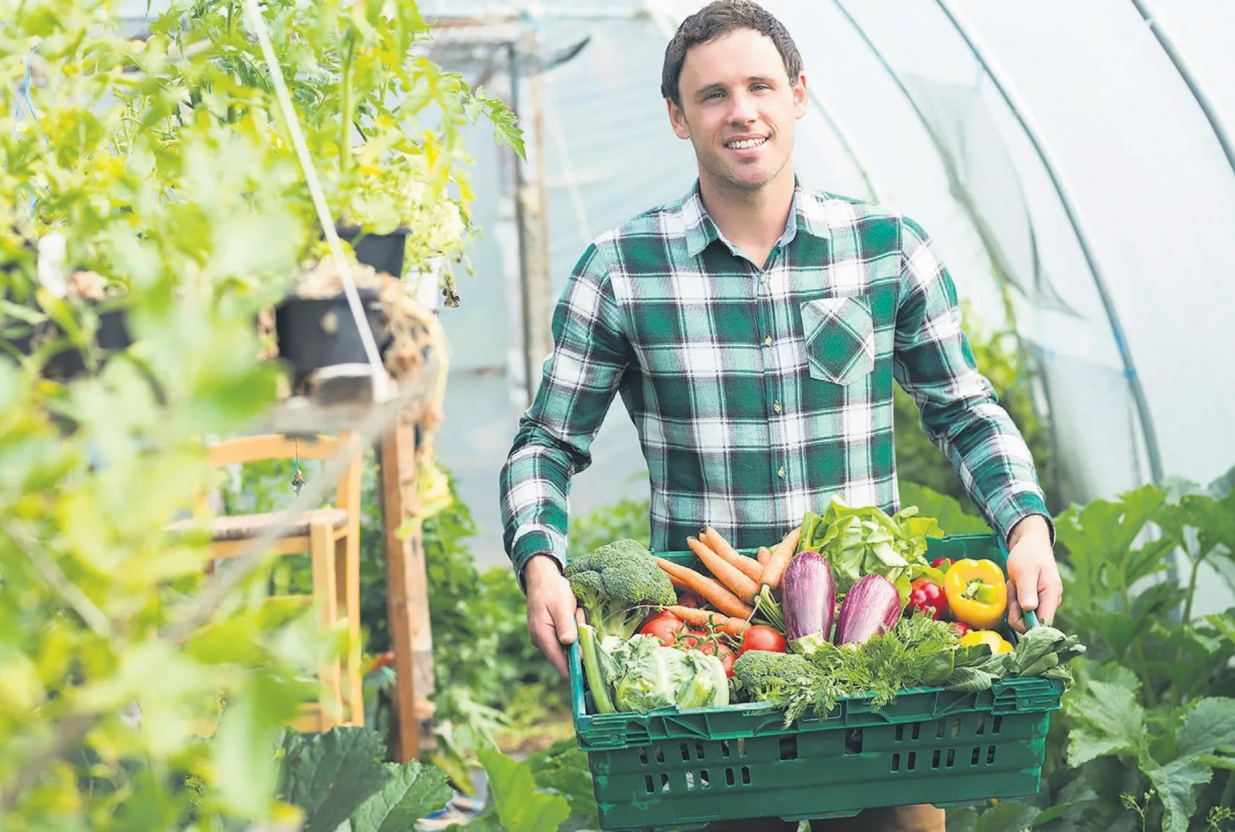 Tarladan rekor çıktı