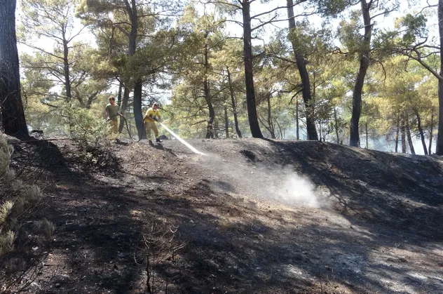 Çanakkale'de orman yangını