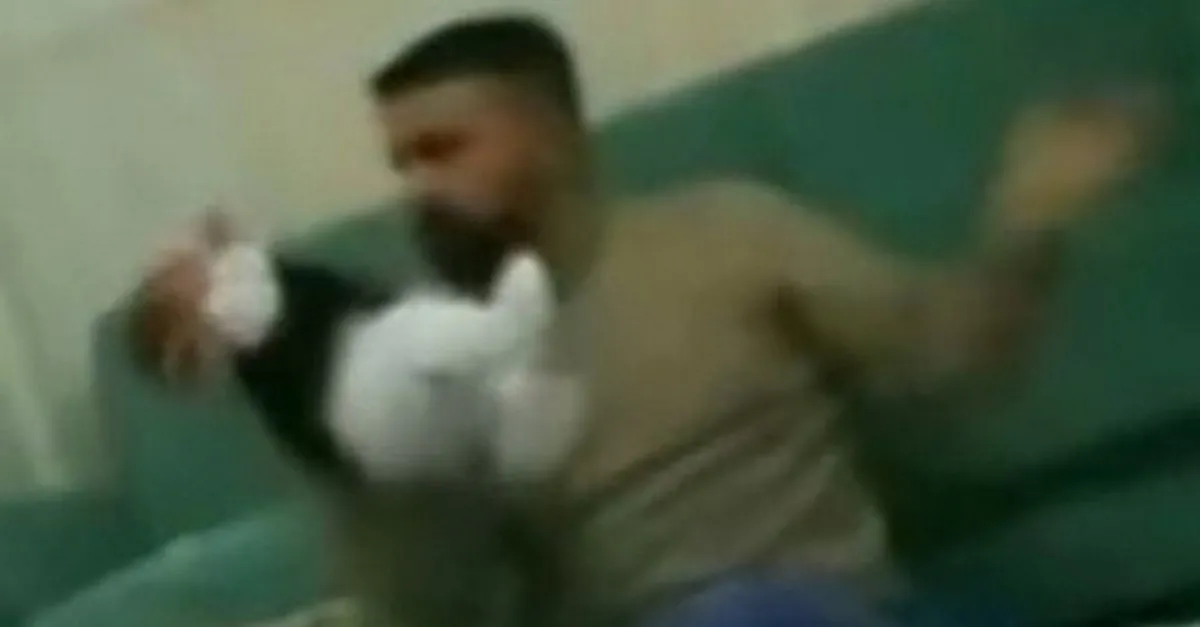 son dakika cihan bebek oldu mu hastaneden aciklama geldi iskenceci cani babadan kan donduran sozler bogazini sikacaksin oyle cirpinip kalacak galeri takvim