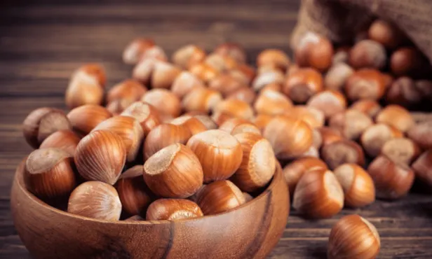 Fındık fiyatları ne zaman açıklanacak? İllere göre 2021 Fındık taban fiyatları belli oldu mu? İşte güncel durum...-4