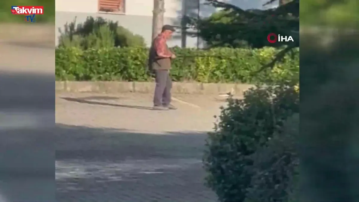 Bartın'da şok eden görüntüler: Oltasına bağladığı güvercinle köpeğini eğiten şahıs gözaltına alındı
