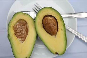 Avokado mucizesi
