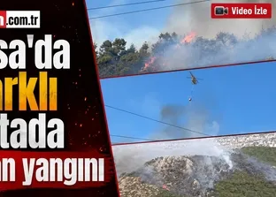 Bursa’da 3 farklı noktada orman yangını