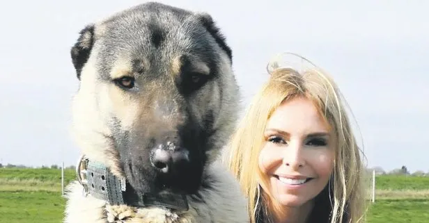 takvim gazetesi