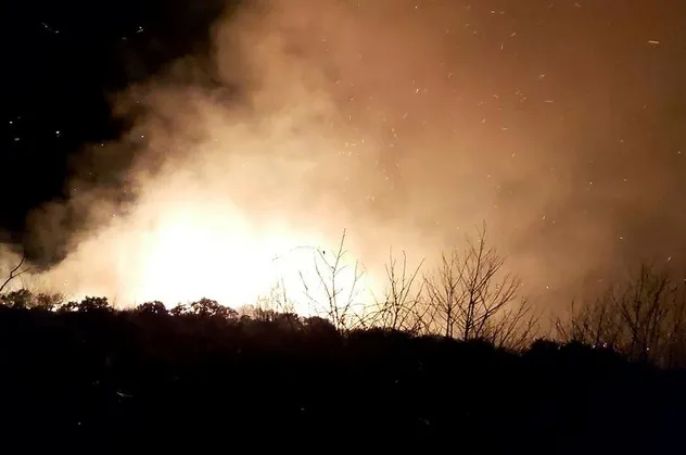 Karadeniz'deki orman yangınlarını terör örgütü PKK üstlendi!
