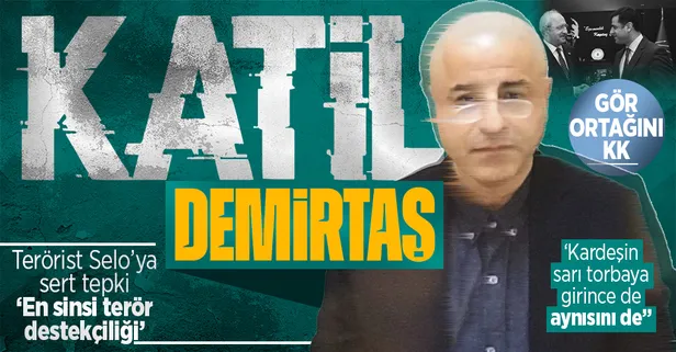 Mersin'de alçak saldırı! Selahattin Demirtaş'ın PKK'yı aklama çabasına tepkiler büyüyor: Bu sinsi zihniyet terörün ideolojik gıdasıdır