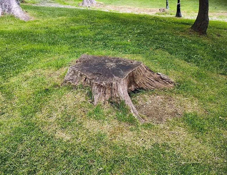 CHP’li İBB’nin tebligat yalanı tutmadı