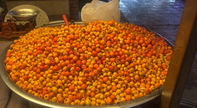 sadece-sivas-ve-tokatta-bulunuyor-tansiyon-seker-ve-bobrek-sagligina-iyi-geliyor-1730218986462.jpg Tansiyon, şeker ve böbrek sağlığına iyi geliyor! Sadece Sivas ve Tokat'ta bulunuyor!-3