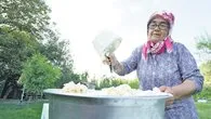 Sosyal medya