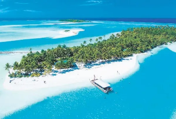 Kocaman müjde (Yurttan ve dünyadan koronavirüs haberleri)-3