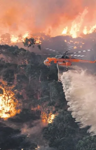 Bir yanda acı ve gözyaşı, diğer tarafta ise görkemli yeni yıl kutlamaları...