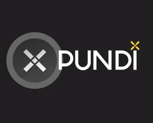 Pundix nedir? Pundi X NPXS coin nasıl ve nereden alınır?