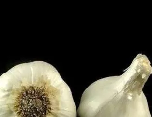 Sarımsağın Faydalari