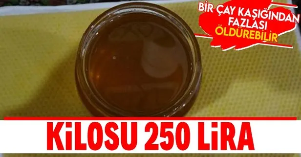 Deli bal nedir? Deli bal öldürür mü? Deli bal tüketenler dikkat! Fazlası öldürebilir