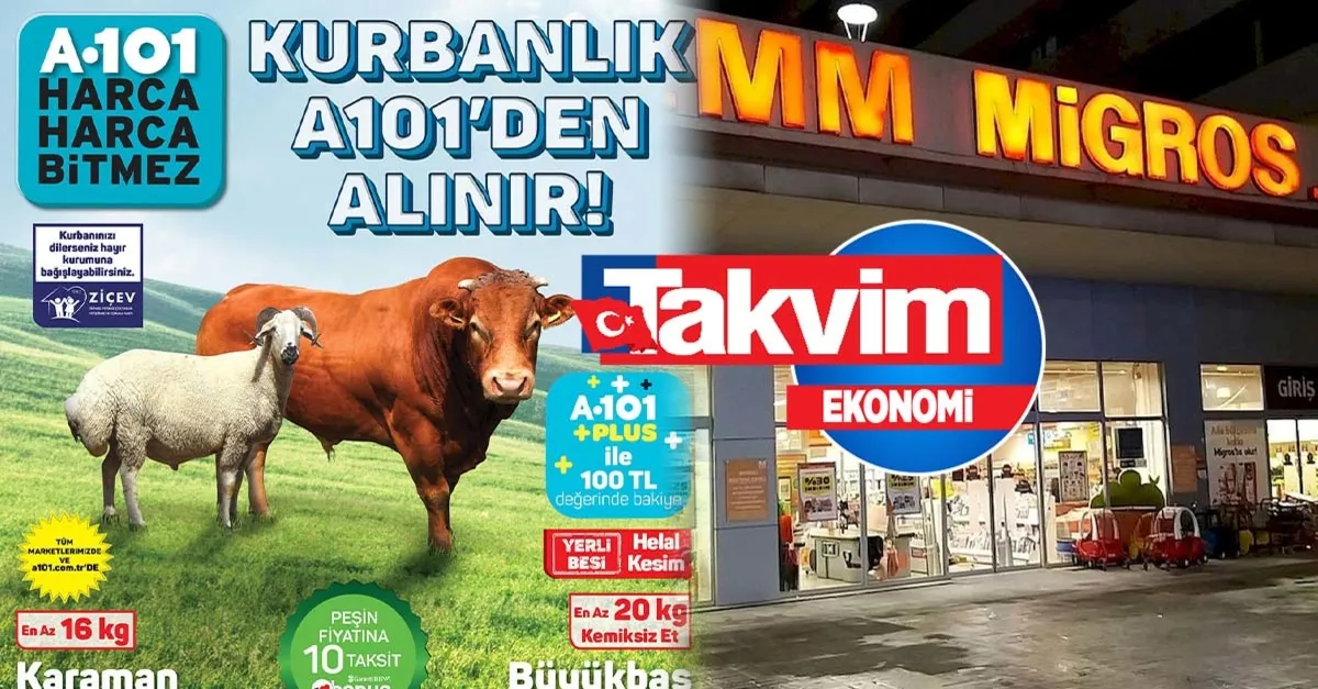 Büyükbaş kurbanlık paketi: A101, Migros, Carrefoursa! Market market 2022 kurbanlık koli fiyatları! Kemikli, kemiksiz 17 gr, 20 gr koç...