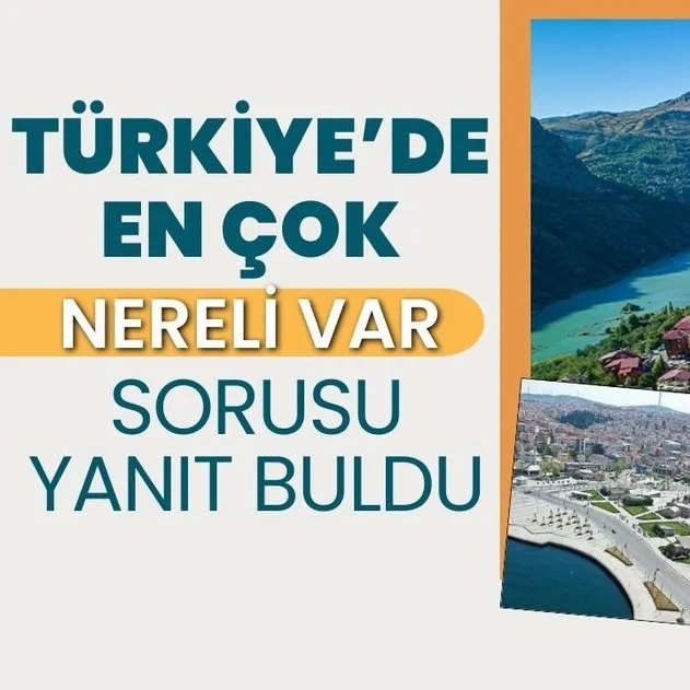 Türkiye’de en çok hangi şehirden vatandaş yaşıyor? 81 ilde A’dan Z’ye hemşehri sayıları ortaya çıktı