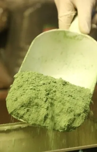 Kına koronavirüsü önlüyor mu? O iddianın ardından talep patlaması!